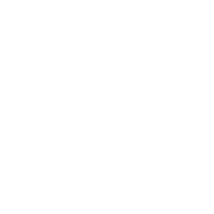 CareVue
